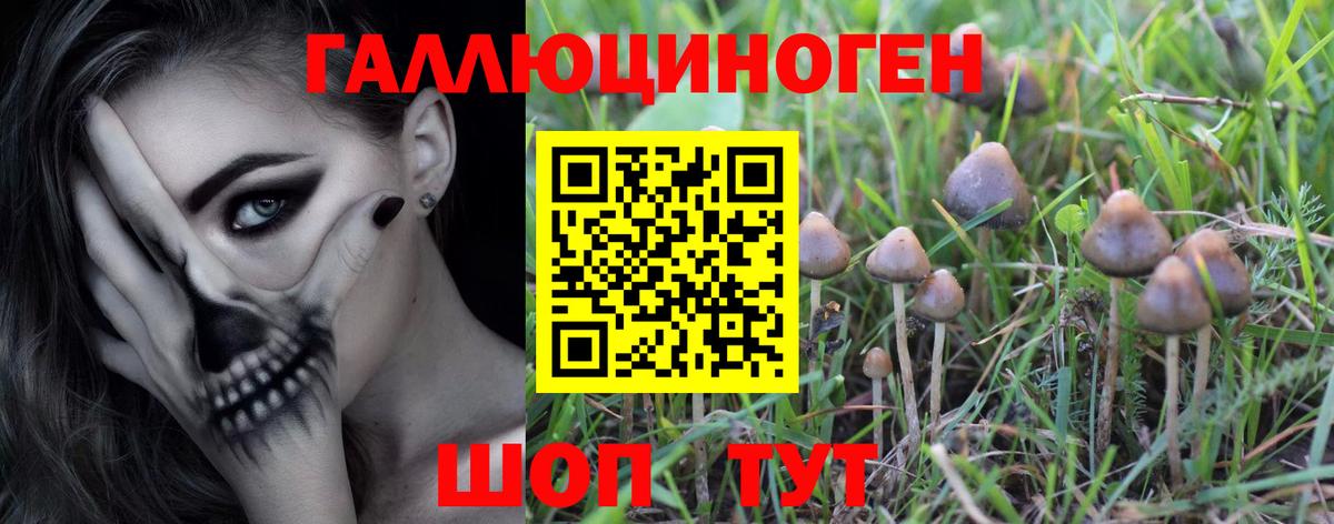 Ростов-на-Дону  Галлюциногенные грибы мицелий  Псилоцибиновые грибы Psilocybine cubensis  Вход с VPN 
